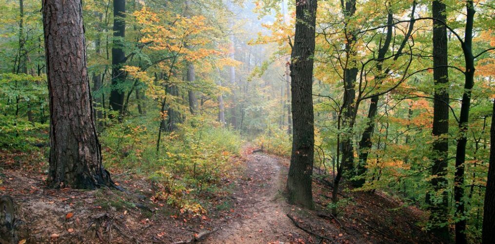 North Bend: Gateway to PNW Recreation